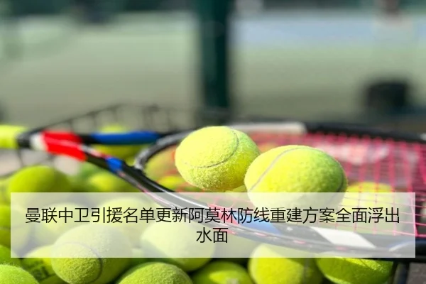 曼联中卫引援名单更新阿莫林防线重建方案全面浮出水面